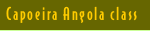 Capoeira Angola classes