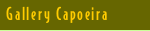 Gallery Capoeira