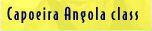 Capoeira Angola classes