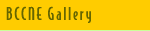 BCCNE Gallery
